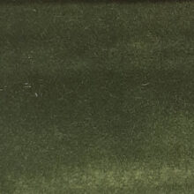Siege_moss